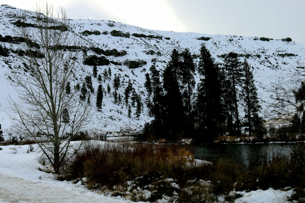 Yakima Canyon Logo