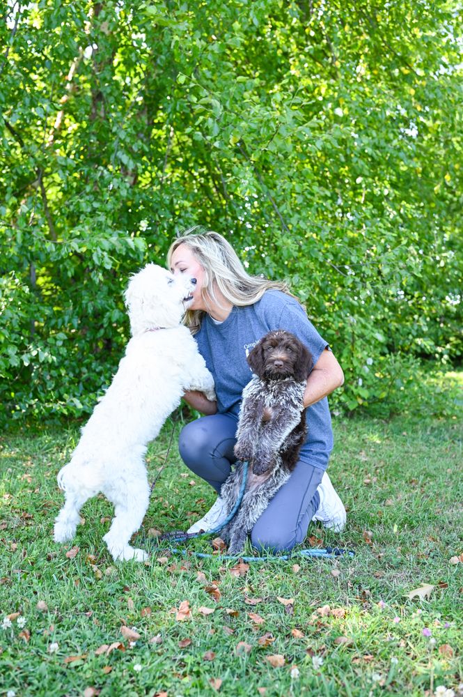 Camp Becca - pet boarding facility in Bedminster, NJ