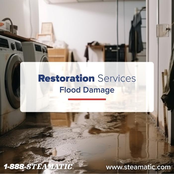 Steamatic of Colorado Springs - veterans service organization in Colorado Springs, CO