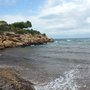 Photo of Playa para Perros