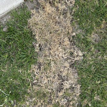 Cityside Fiber - killed my grass - Internet Service Providers Near Me - Irvine, California Cityside Fiber - killed my grass - Internet Service Providers Near Me - Irvine, California