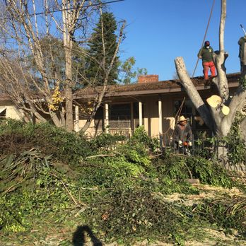 H & E Tree Service - Very fast and skilled. - Tree Services Near Me H & E Tree Service - Very fast and skilled. - Tree Services Near Me