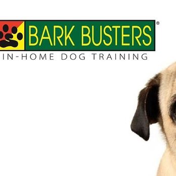 Bark Busters - Pet Training Near Me