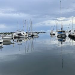 Antares - Marina
