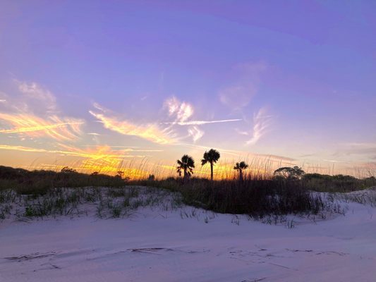 Jekyll Island by null