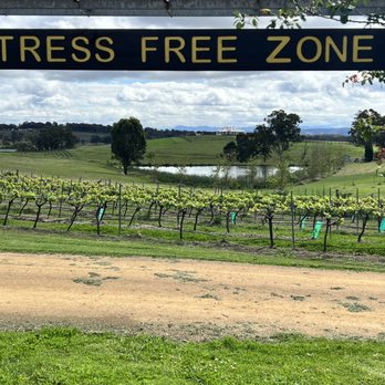 Hanging Tree Wines - Wineries Near Me - Pokolbin, NSW Hanging Tree Wines - Wineries Near Me - Pokolbin, NSW