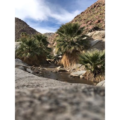 Anza Borrego Desert State Park 200 Palm Canyon Dr Borrego Springs Ca Historical Places Mapquest