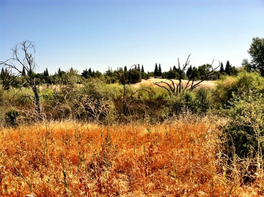 Maidu Regional Park by null