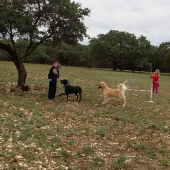 Gold Ducat Kennels - Pet Sitting Near Me - Leander, Texas Gold Ducat Kennels - Pet Sitting Near Me - Leander, Texas