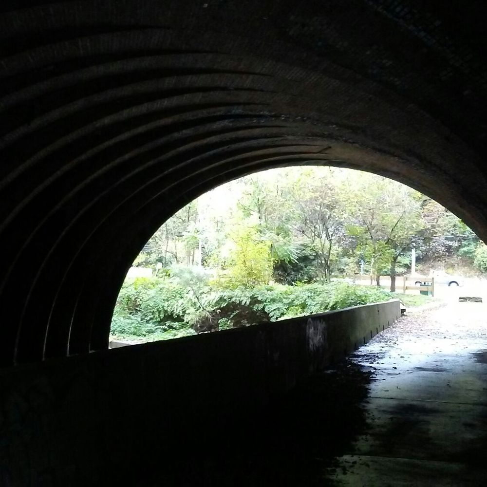 Beechview - Seldom Seen Greenway - Parks Near Me - Pittsburgh, Pennsylvania