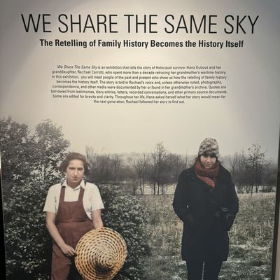 The Florida Holocaust Museum by null