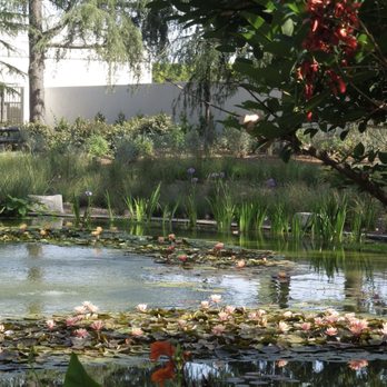 Norton Simon Museum - Art Museums Near Me - Pasadena, California