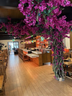 Tacos Por Favor Bar & Grill by null