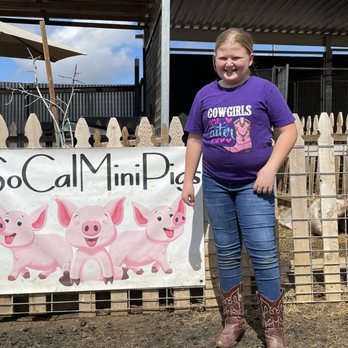 SoCalMiniPigs - Pet Breeders Near Me - Valley Center, California SoCalMiniPigs - Pet Breeders Near Me - Valley Center, California