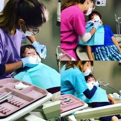 Denise Acierno DDS