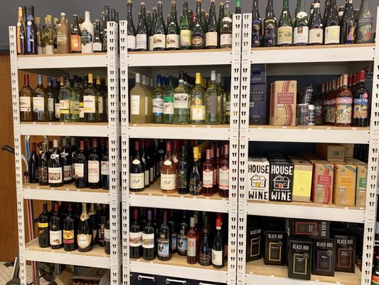 The Wise Old Dog by null