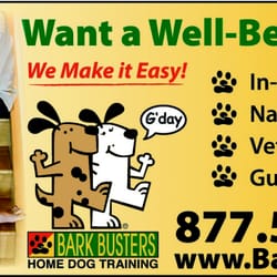Bark Busters Home Dog Training NoVa Beltway