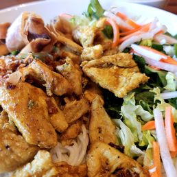 Chicken curry with spring rolls, salad, noodles and dipping sauce. Chicken curry with spring rolls, salad, noodles and dipping sauce.