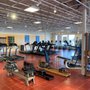 Top Fitness Store