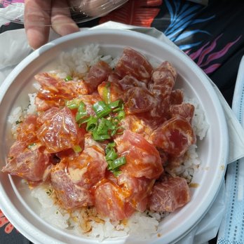Domo Cafe Kahala - Spicy Ahi bowl - Sushi Bars Near Me - Honolulu, Hawaii