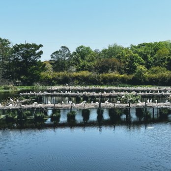 Tabasco - Specialty Food Near Me - Avery Island, Louisiana