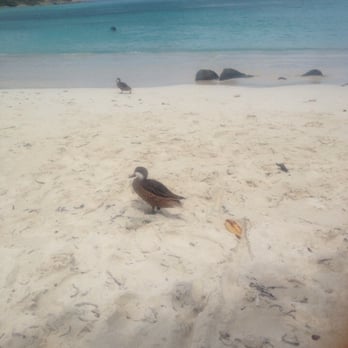 Sapphire Beach Resort - Hotels Near Me - Saint Thomas, Virgin Islands