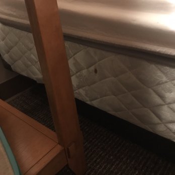 High Country Suites - Blood stain on the mattress - Hotels Near Me - Pinedale, Wyoming High Country Suites - Blood stain on the mattress - Hotels Near Me - Pinedale, Wyoming