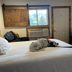 Springs Lodge & Cafe - Dog friendly