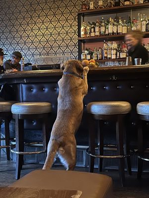 Fireside Bar by null