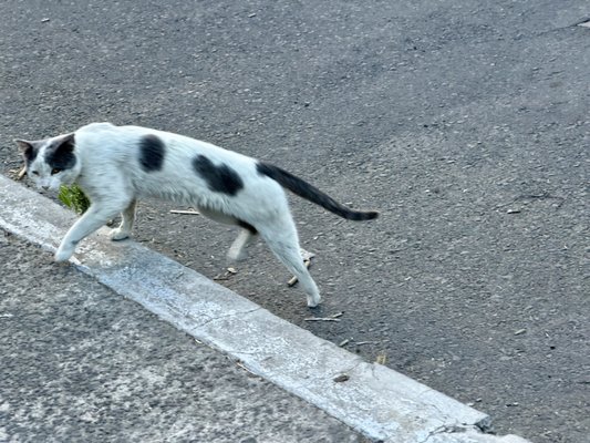 Papalote Museo del Niño by null