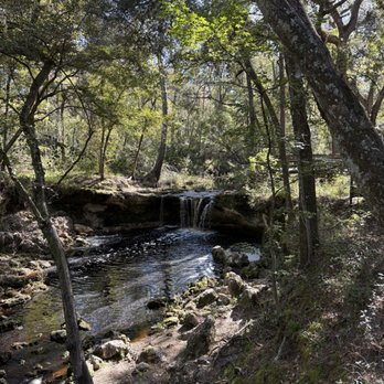 Falling Creek Falls - The falls - Parks Near Me - Lake City, Florida Falling Creek Falls - The falls - Parks Near Me - Lake City, Florida