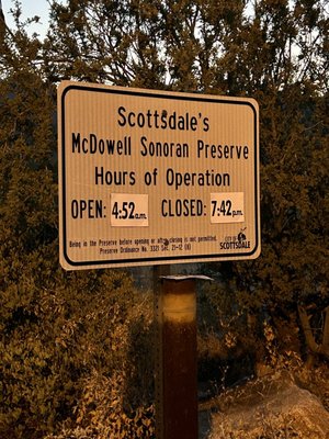 Lost Dog Wash Trailhead by null