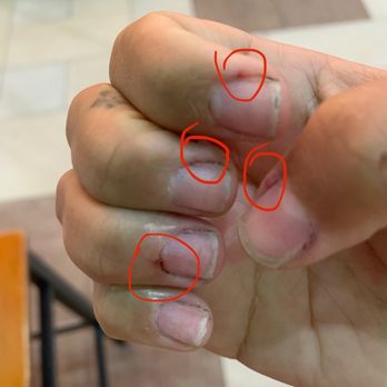 Eyebrow Designers & Spa - circled are all the cuts! - Eyebrow Services Near Me - Cutler Bay, Florida