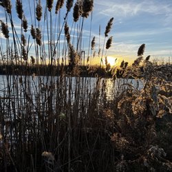 Beck Lake Forest Preserve