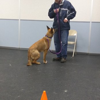 Casper Dog Training - Pet Training Near Me - ROSELAND, New Jersey Casper Dog Training - Pet Training Near Me - ROSELAND, New Jersey