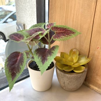 Brewshot - Inside - Coffee & Tea Near Me - Jersey City, New Jersey