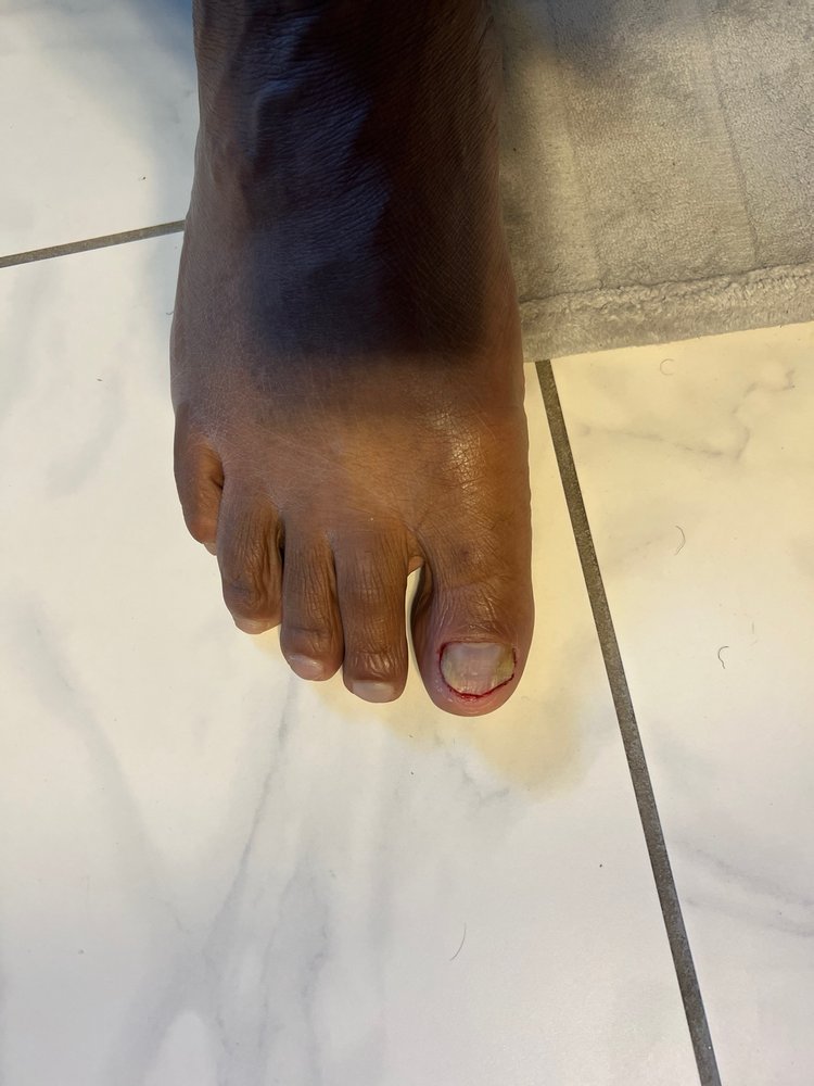 LUXURY NAILS OF TWELVE OAKS 46 Photos & 59 Reviews Nail Salons