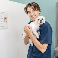 Academy of Pet Careers - Pet Grooming