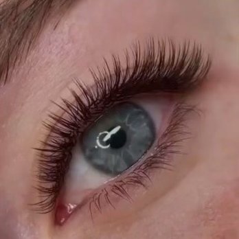 Master Lash By Charity - Brown Volume lashes Camille. - Eyebrow Services Near Me - Santa Monica, California