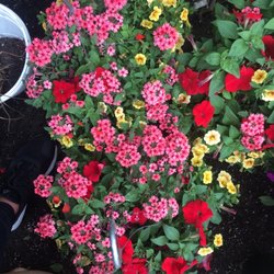 Oma’s Barn Home & Garden - Spring baskets