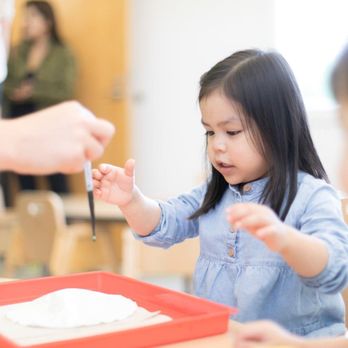 Kindering - Preschools Near Me - Renton, Washington Kindering - Preschools Near Me - Renton, Washington