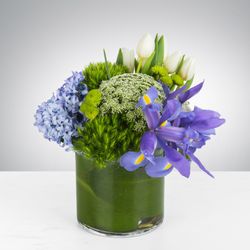 Natures Splendor Florist - Lush Meadows