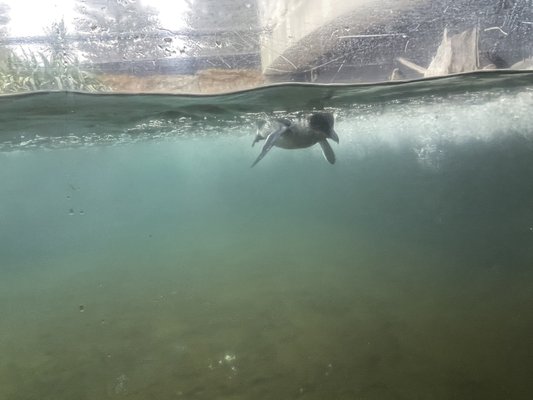 National Aquarium of New Zealand by null