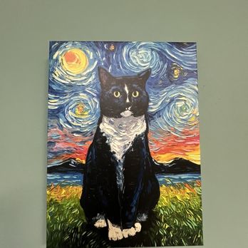 The Cozy Catfe - Cutest decor - Pet Adoption Near Me - Arlington, Texas The Cozy Catfe - Cutest decor - Pet Adoption Near Me - Arlington, Texas