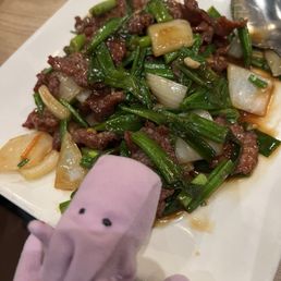 Mongolian Beef