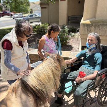 A+ Right Time Care - Let's have some Animal therapy - Assisted Living Facilities Near Me - Vacaville, California A+ Right Time Care - Let's have some Animal therapy - Assisted Living Facilities Near Me - Vacaville, California