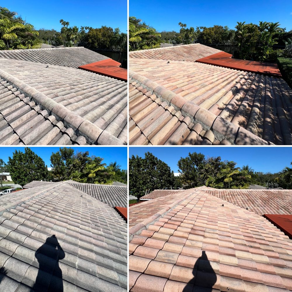 Slide of Kelly Restorations