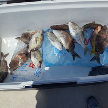 Captain Gregg Fishing Charters - Boat Charters Near Me - Sarasota, Florida