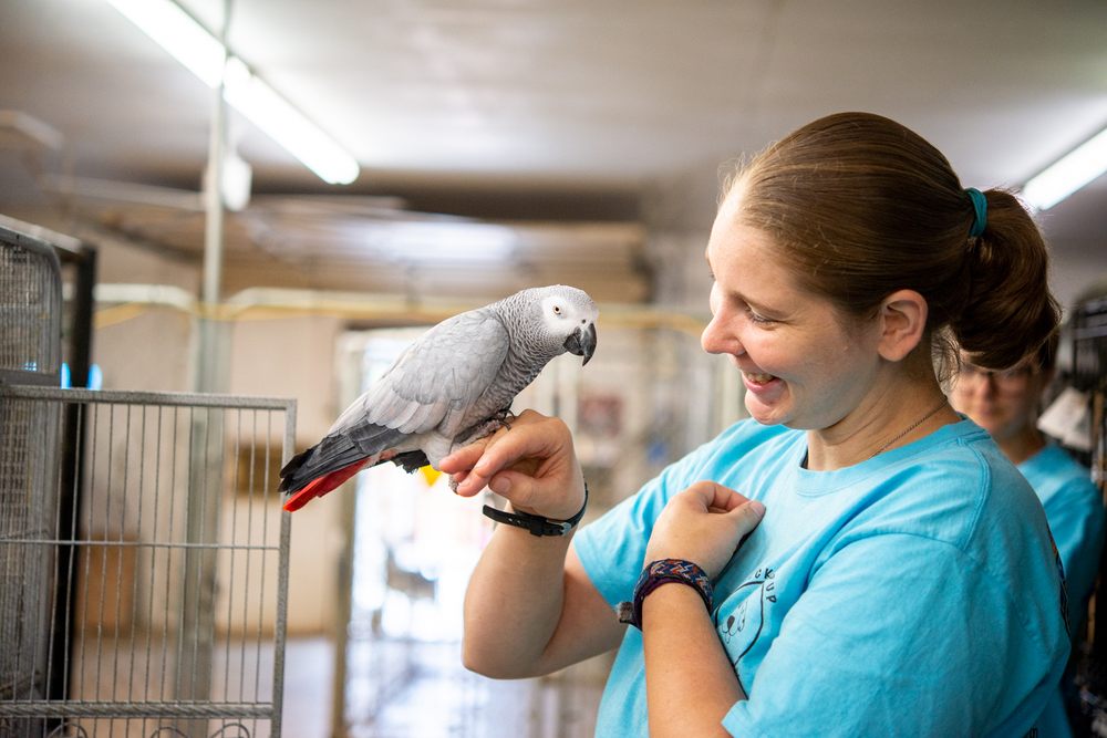 SPECKLED PUP CENTER Updated October 2024 26 Photos 470 W Tulsa St