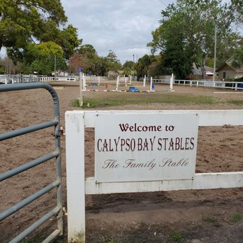 Hasenbeck Equestrian  - Horse Boarding Near Me - Largo, Florida